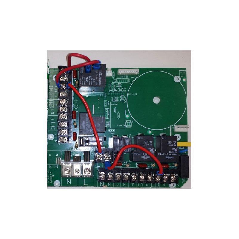 Placa electrica 220V SPA YOUCAMEA