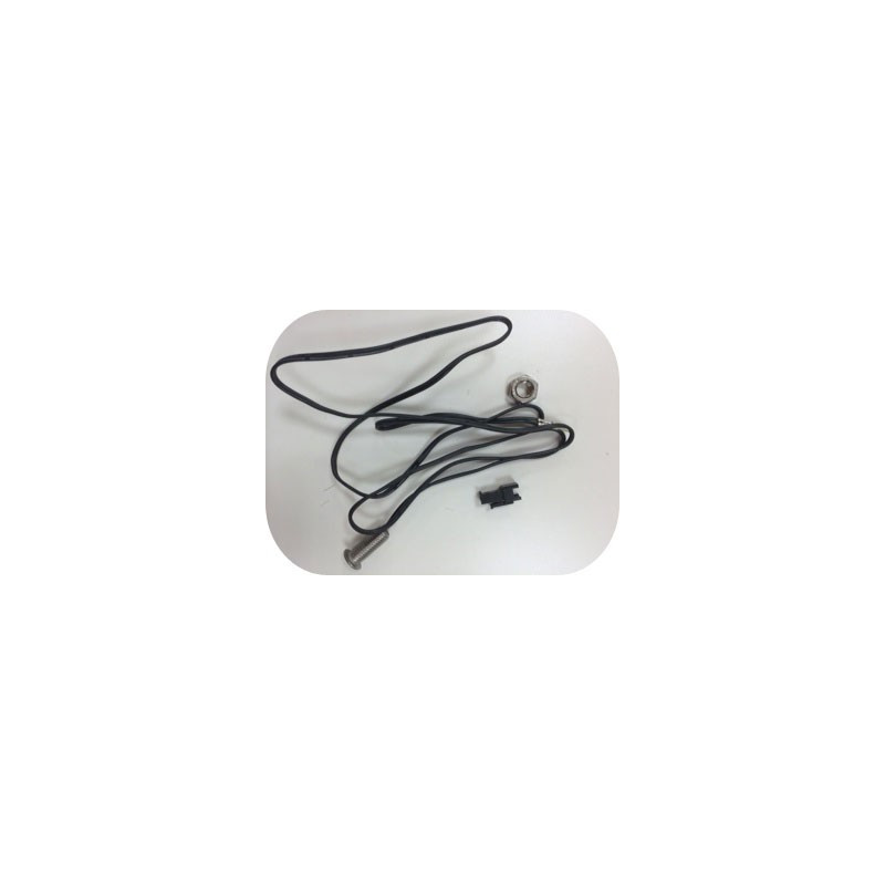 Sensor de temperatura SPA YOUCAMEA