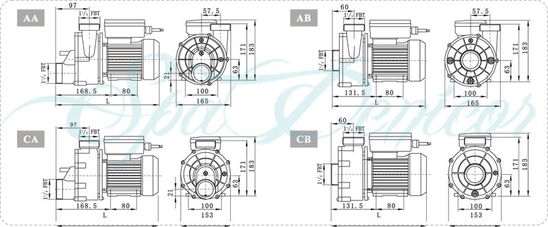 WN diagram